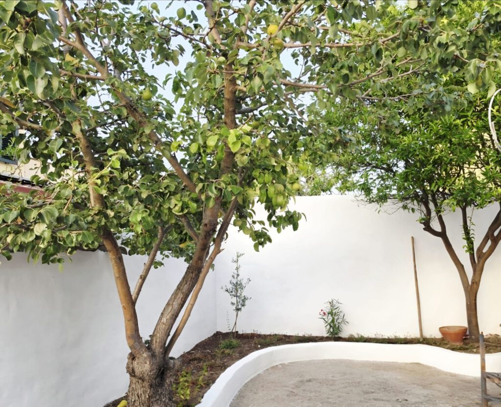 Ommuurde tuin met fruitbomen bij Villa Marolo in Zuid-Sardinië